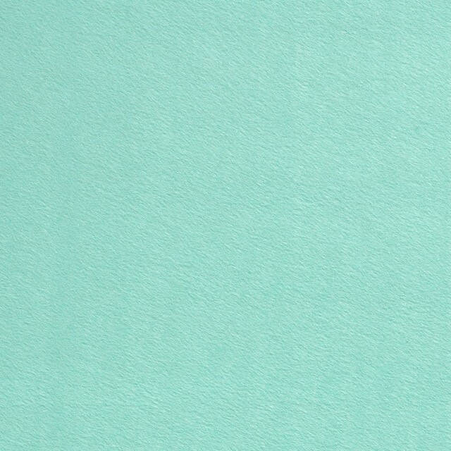 vilt 3mm mint