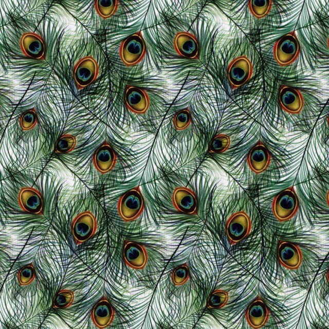 Polyester jersey digitaaldruk veren wit