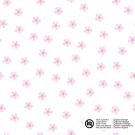 Katoen poplin bloemen wit